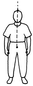 wuji stance